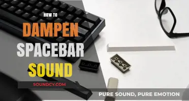 Quiet Your Keyboard: Effective Ways to Dampen Spacebar Sound