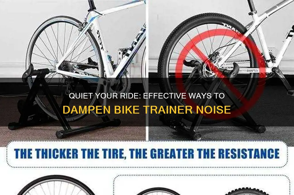 how to dampen the sound of a bike trainer