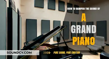 Effective Techniques to Quiet Your Grand Piano's Volume