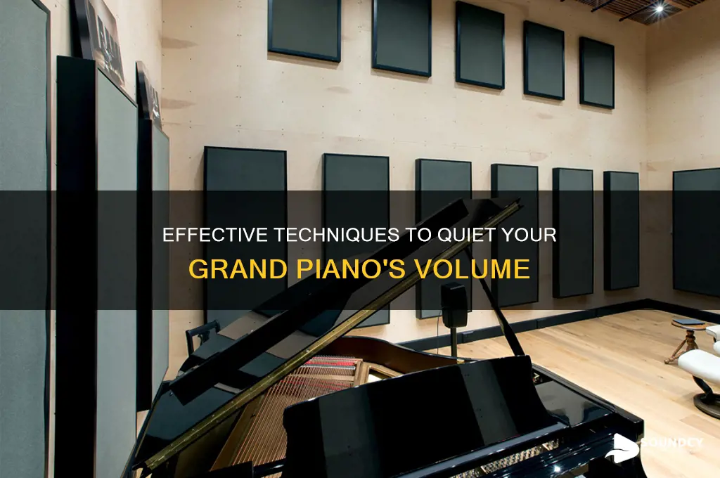 how to dampen the sound of a grand piano