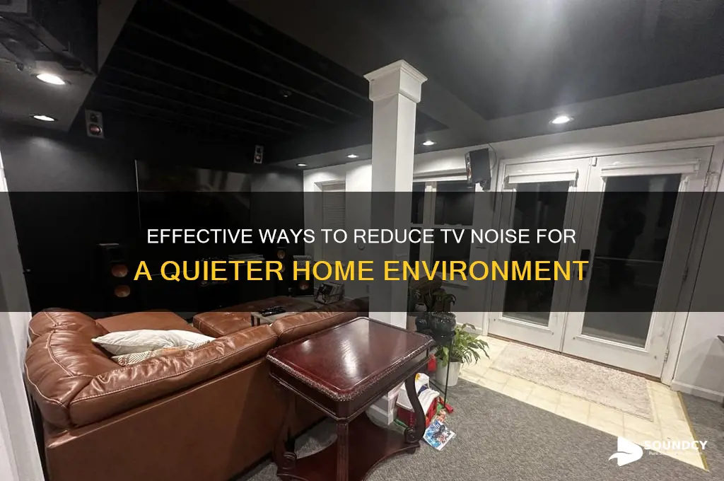 how to dampen tv sound
