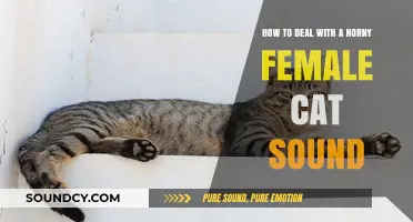 Managing Your Female Cat's Mating Calls: Tips for a Quieter Home