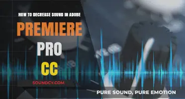 Reduce Audio Noise in Adobe Premiere Pro CC: A Quick Guide