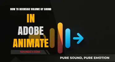 Mastering Audio Control: Reduce Sound Volume in Adobe Animate Easily