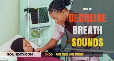 Mastering Breath Sound Descriptions: A Comprehensive Guide for Healthcare Professionals