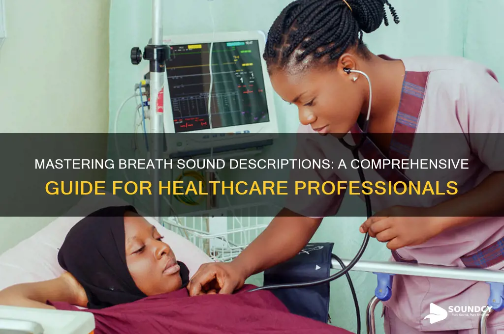 how to decreibe breath sounds