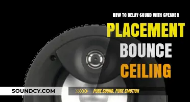 Enhance Audio Delay: Speaker Placement Bounce Ceiling Techniques Explained