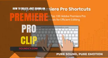 Mute Your Clips: Removing Audio in Premiere Pro Easily