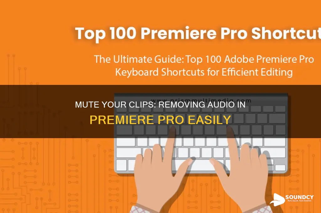 how to delete just sound on premiere pro clip