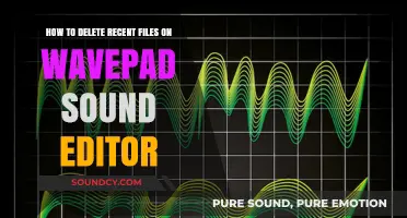 Efficiently Clear Recent Files in WavePad Sound Editor: A Quick Guide