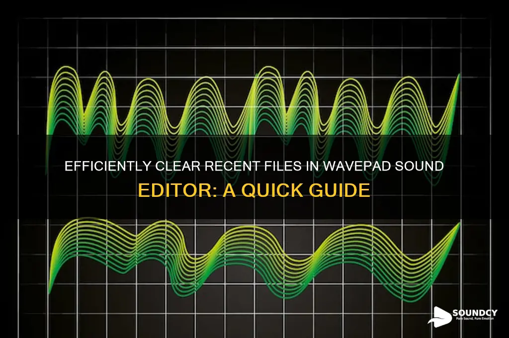 how to delete recent files on wavepad sound editor