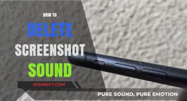 How to Mute Screenshot Sound on Your Device: Quick Guide