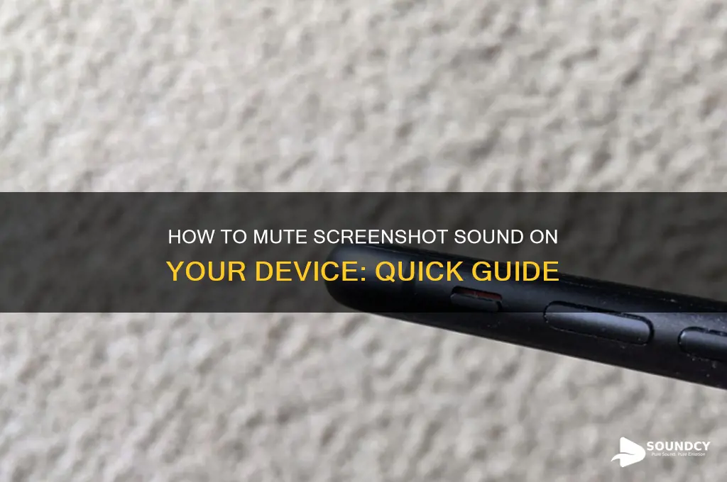 how to delete screenshot sound