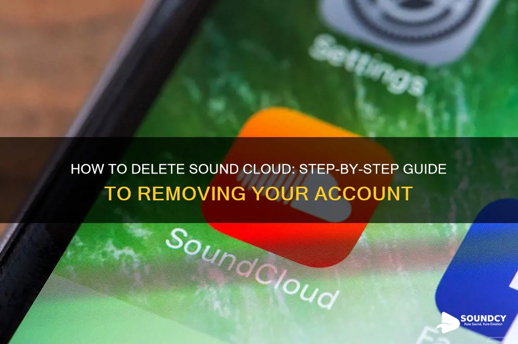 how to delete sound could