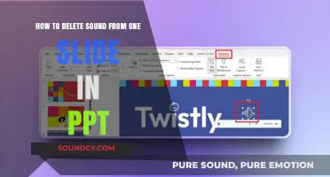 Remove Audio from a Single Slide in PowerPoint: Step-by-Step Guide