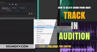Efficiently Remove Sound from Right Track in Adobe Audition