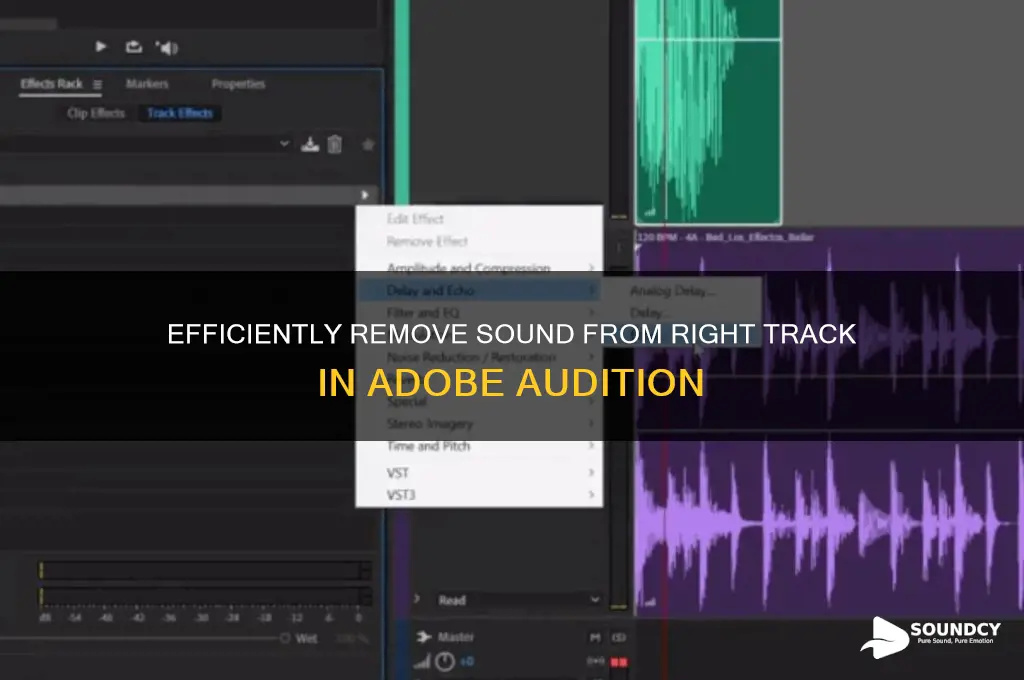 how to delete sound from right track in audition