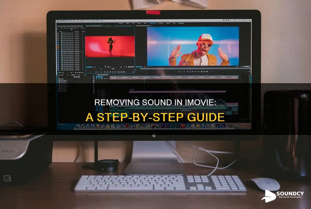 how to delete sound in imovie