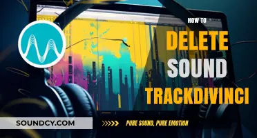 How to Delete Soundtracks in DaVinci Resolve: A Step-by-Step Guide