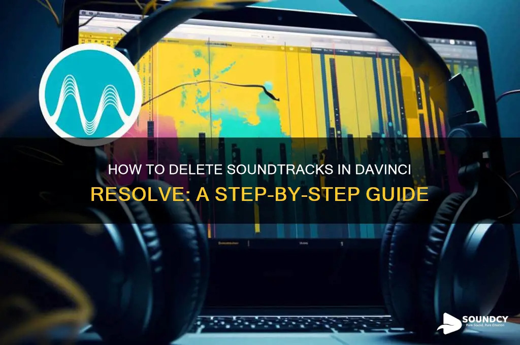 how to delete sound trackdivinci