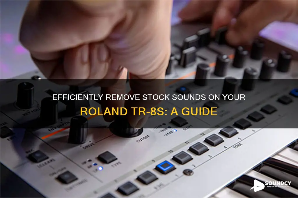 how to delete stock sounds on roland tr 8s