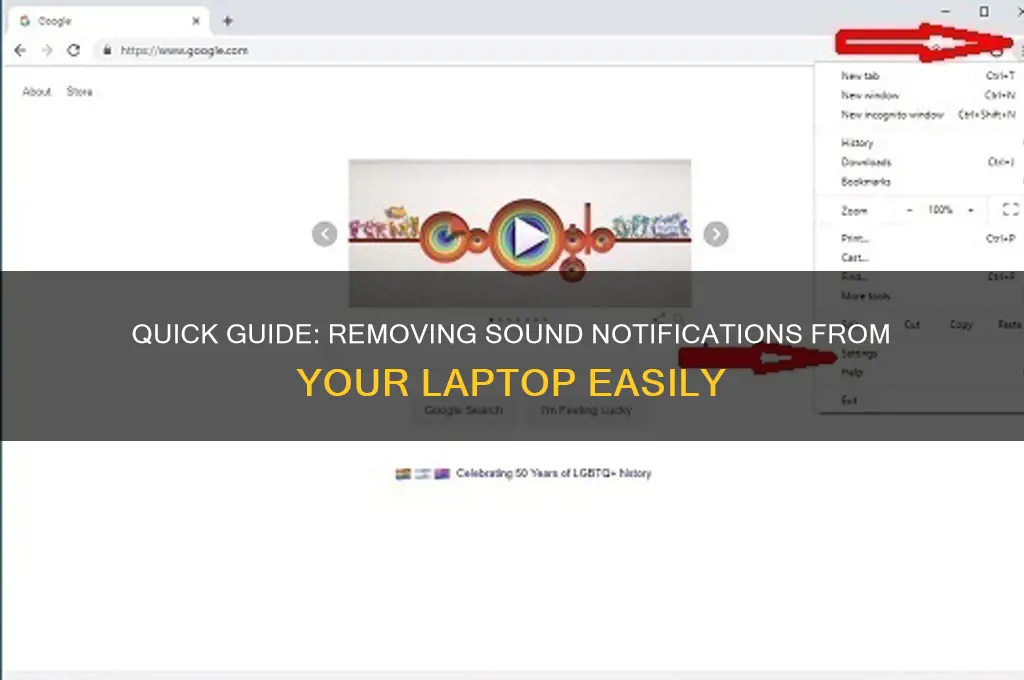 how to delete the sound notification from my laptop