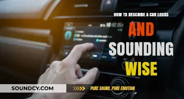 Mastering Car Descriptions: Visual and Auditory Appeal Explained