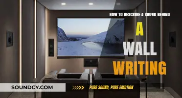 Describing Hidden Sounds: Techniques for Writing Behind-the-Wall Audio