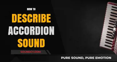 Capturing the Unique Accordion Sound: A Guide to Descriptive Language