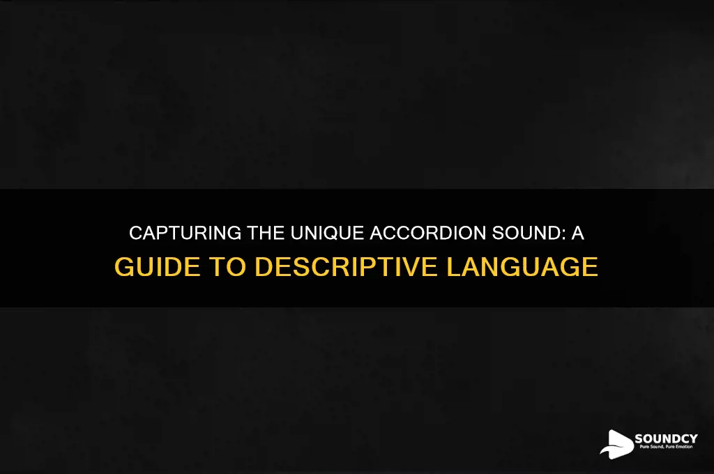 how to describe accordion sound