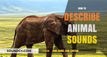 Mastering the Art of Describing Animal Sounds: A Creative Guide