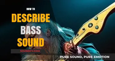 Mastering Bass Description: Techniques to Capture Deep, Rich Sound Vibes