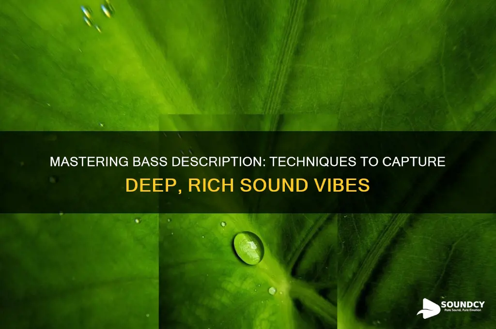 how to describe bass sound
