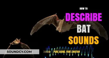 Decoding Bat Sounds: A Beginner's Guide to Echolocation and Calls