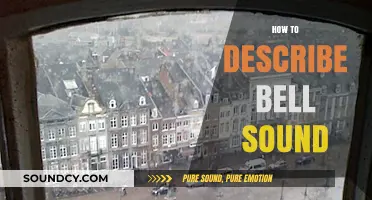 Capturing the Essence: Describing the Unique Resonance of a Bell's Sound
