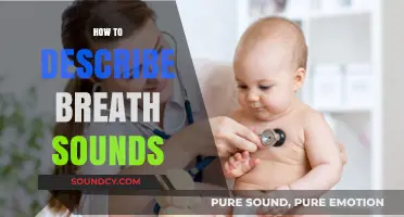 Mastering Breath Sound Descriptions: A Comprehensive Guide for Healthcare Professionals