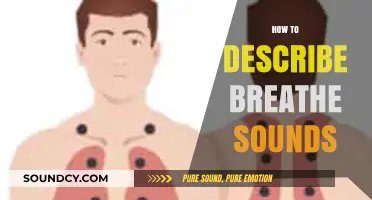 Mastering the Art of Describing Breath Sounds: A Comprehensive Guide