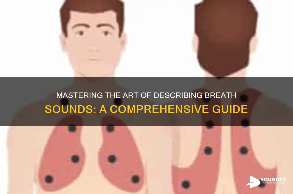 how to describe breathe sounds