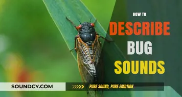Decoding Nature's Symphony: A Guide to Describing Bug Sounds