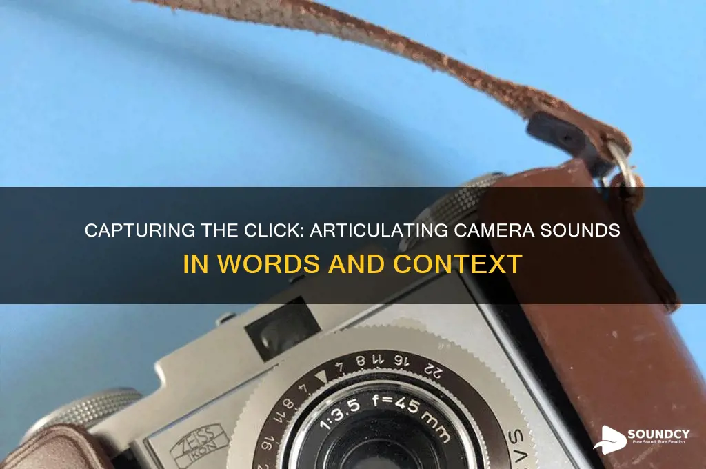 how to describe camera sound