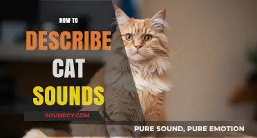 Decoding Cat Communication: Understanding and Describing Feline Vocalizations
