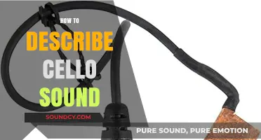 Unveiling the Rich, Warm, and Expressive Voice of the Cello's Sound