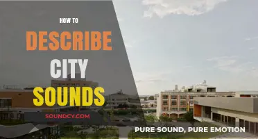 Capturing Urban Rhythms: A Guide to Describing City Sounds