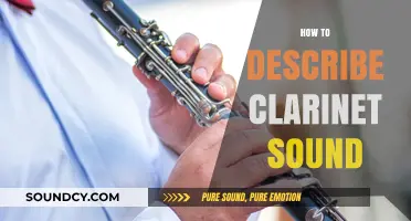 Clarinet's Unique Tone: A Guide to Describing Its Rich, Versatile Sound