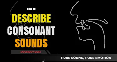 Mastering Consonant Sounds: A Comprehensive Guide to Accurate Description
