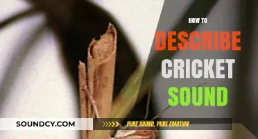 Mastering the Art of Describing Cricket Sounds: Tips and Techniques