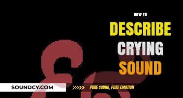 Expressing Tears: Mastering the Art of Describing Crying Sounds