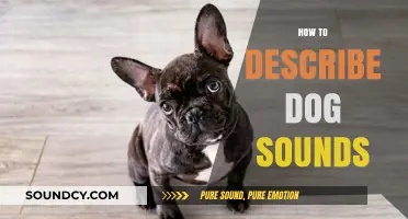 Decoding Dog Sounds: Understanding Barks, Whines, and Growls