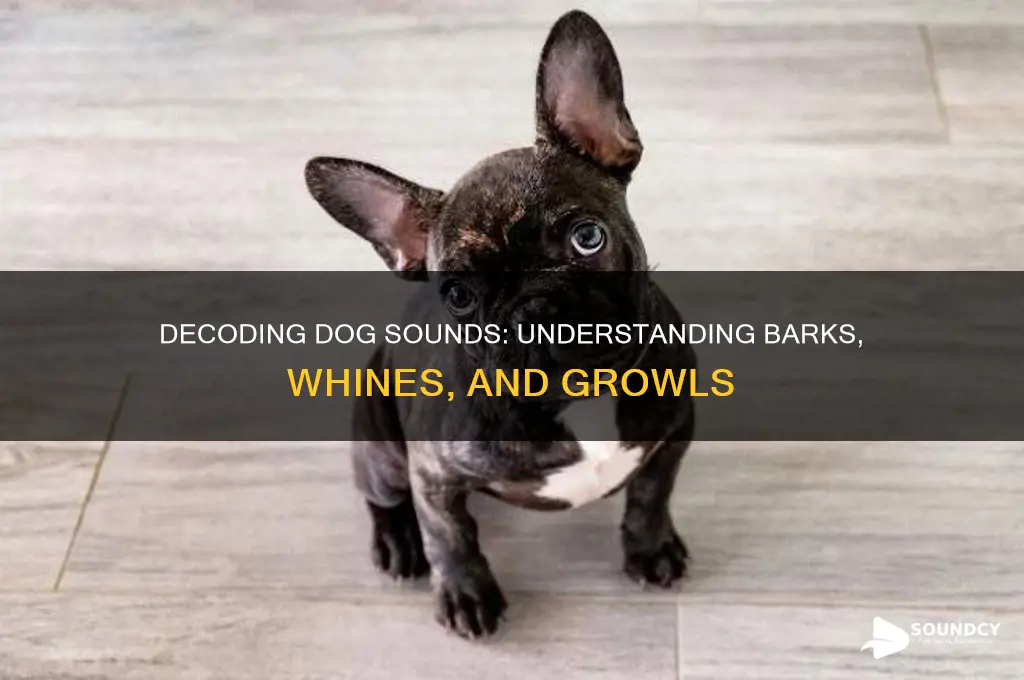 how to describe dog sounds