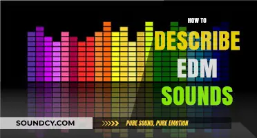 Mastering EDM Soundscapes: A Guide to Describing Electronic Music Elements